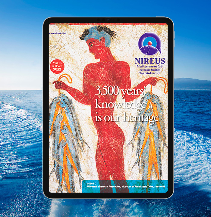 projects_nireus-2_opt