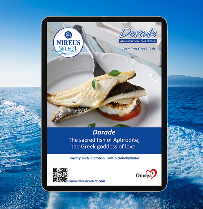 projects_nireus-4_opt