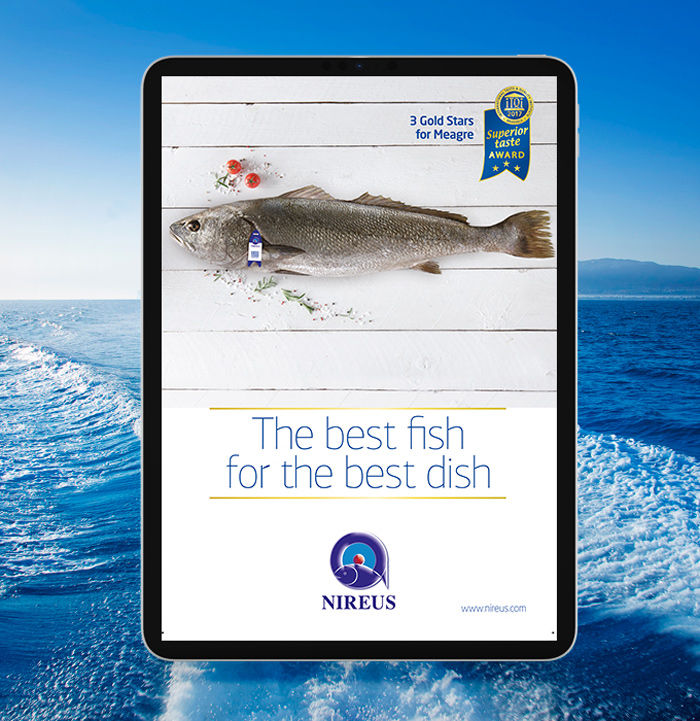 projects_nireus-6_opt