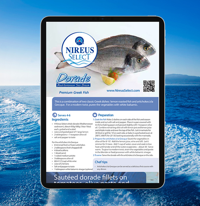 projects_nireus-7_opt