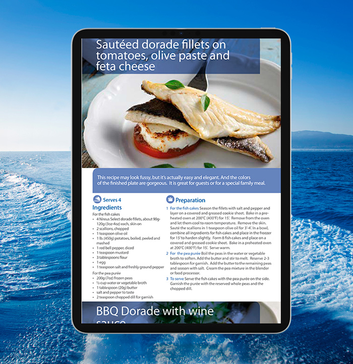 projects_nireus-8_opt